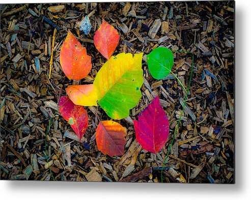 Fall Landscape Photograph Metal Print featuring the photograph A Pop of Fall by Desmond Raymond