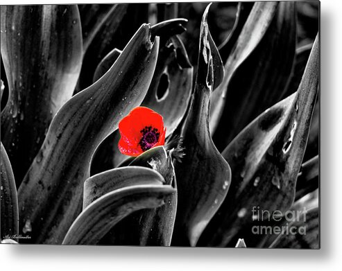 Background Metal Print featuring the photograph A red Dot l.k. by Arik Baltinester