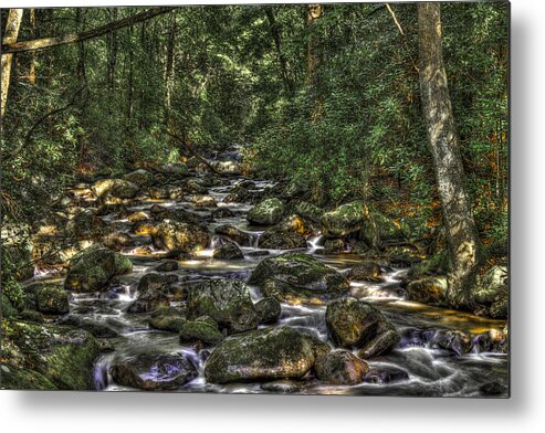 Landscape Metal Print featuring the photograph A River Through the Woods by Harry B Brown