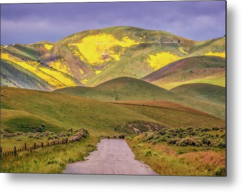 California Metal Print featuring the photograph A Road Less Traveled by Marc Crumpler