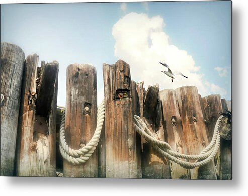 Nature Metal Print featuring the photograph It's A Shore Thing by Diana Angstadt