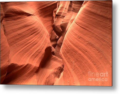 Waterholes Metal Print featuring the photograph A Tight Fit by Adam Jewell