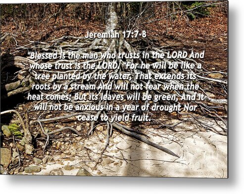 Bible Verse Metal Print featuring the photograph A Tree By The Water by Paul Mashburn