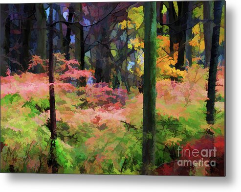 Trees Metal Print featuring the digital art A View of The Woods in Fall by Xine Segalas