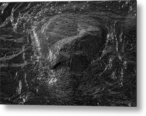 Black And White Metal Print featuring the photograph A Watcher in the Water by Robert Ullmann