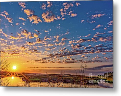 Sunrises Metal Print featuring the photograph A Wildlife Paradise Marvel Sunrise by DB Hayes