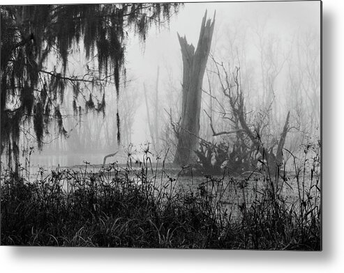 Brazos Bend Metal Print featuring the photograph Abandon All Hope by Gerard Harrison