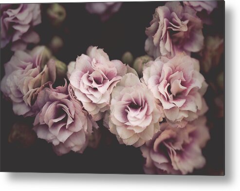 Flowers Metal Print featuring the photograph About Nostalgia by Philippe Sainte-Laudy