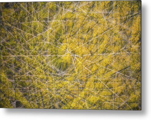 Aspens Metal Print featuring the photograph Abstract Aspens by Nancy Dunivin