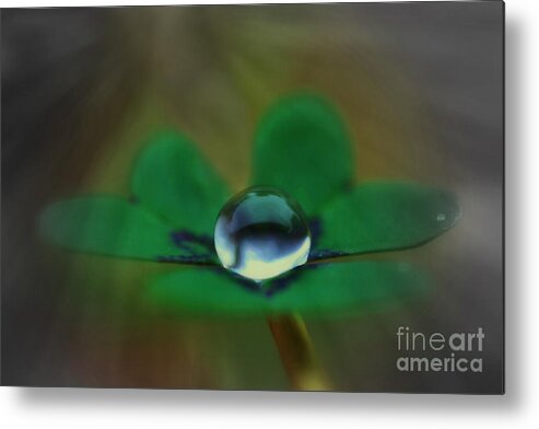 Clover Metal Print featuring the photograph Abstract Clover by Kym Clarke