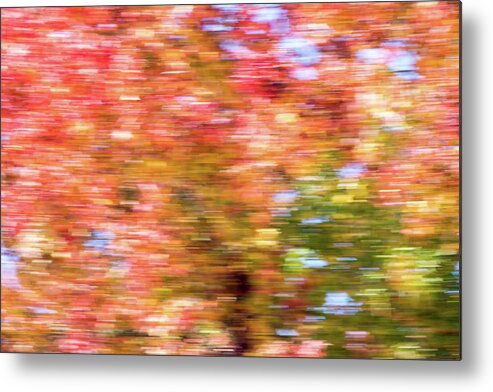 Fall Metal Print featuring the photograph Abstract Fall Leaves 2 by Rebecca Cozart