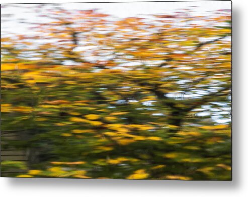 Abstract Metal Print featuring the photograph Abstract of Maple Tree by Bob Cournoyer