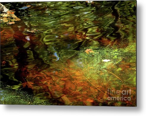 Leaf Metal Print featuring the photograph Abstract of St Croix River 04 by Jimmy Ostgard