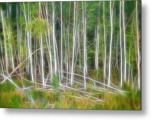 Trees Metal Print featuring the digital art Abstract Silver Birches One by Mo Barton