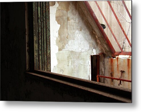 In Focus Metal Print featuring the photograph Abstract View by Joanne Coyle