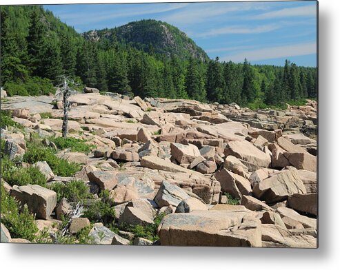 Acadia National Park Metal Print featuring the photograph Acadia Coastline by Living Color Photography Lorraine Lynch