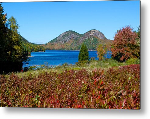 Acadia Metal Print featuring the photograph Acadia National Park #2 by John Daly