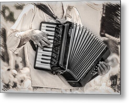 Accordion Metal Print featuring the photograph Accordion Player by Danuta Bennett