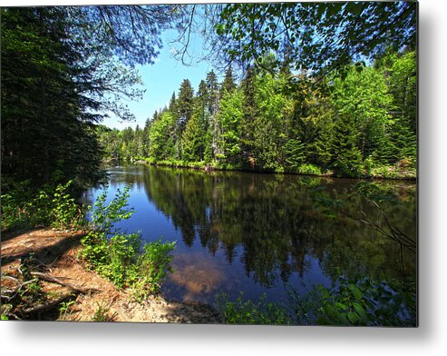Adirondack Lake Water Pond Trees Pine Metal Print featuring the photograph Adirondack Waters by Robert Och