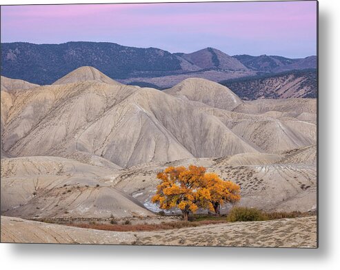 Cottonwood Metal Print featuring the photograph Adobe Sunset by Denise Bush