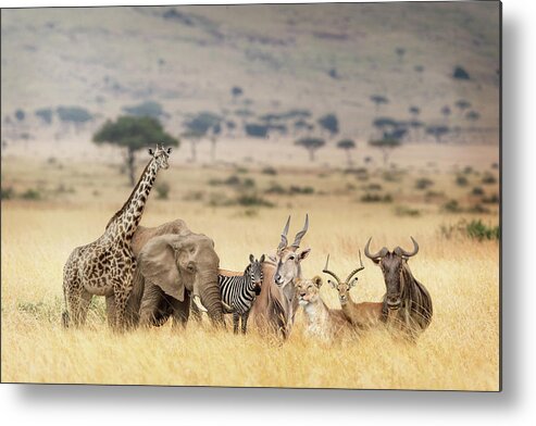 Masai Mara Metal Print featuring the photograph African Safari Animals in Dreamy Kenya Scene by Good Focused