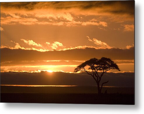 Africa Metal Print featuring the photograph African Sunrise by Michele Burgess
