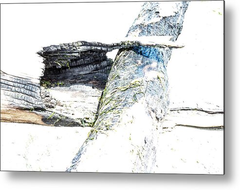 Abstract Metal Print featuring the photograph After the Fire by Ronda Broatch