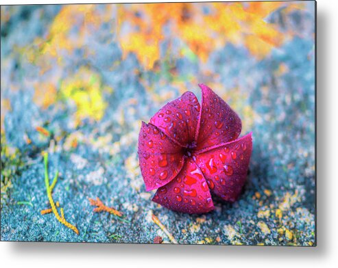 Floral Metal Print featuring the photograph After the Rain by Jade Moon