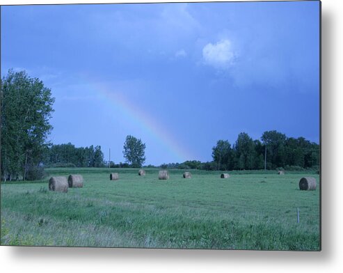 Scene Metal Print featuring the photograph After the Rain by Mary Mikawoz