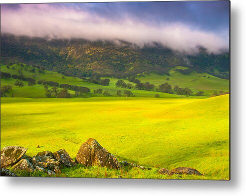 Landscape Metal Print featuring the photograph After The Storm by Marc Crumpler
