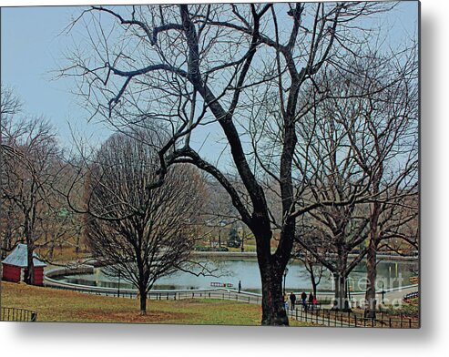 Central Park Metal Print featuring the photograph Afternoon in the Park by Sandy Moulder