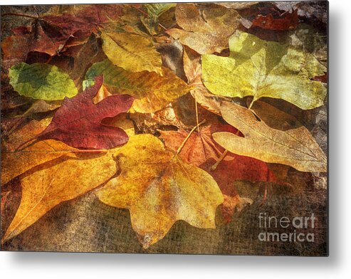 Colorful Metal Print featuring the photograph Age Of Character by Kathi Mirto