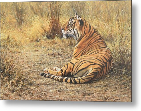 Wildlife Paintings Metal Print featuring the photograph Alarm Call by Alan M Hunt