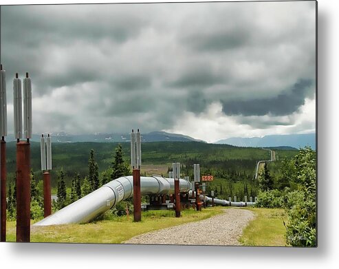 Alaska Pipeline Metal Print featuring the photograph Alaska Pipeline by Dyle  Warren