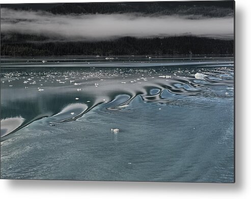  Background Image Metal Print featuring the photograph Alaskan Sea Scape Two #1 by Gary Warnimont