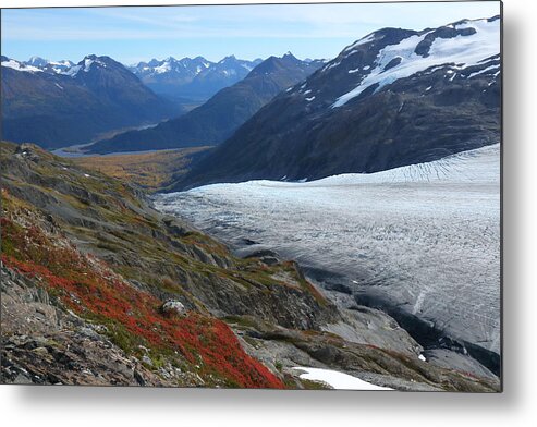 Exit Glacier Metal Print featuring the photograph Alaska's Exit Glacier by Steve Wolfe