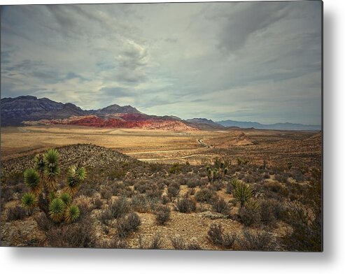  Metal Print featuring the photograph All Day by Mark Ross
