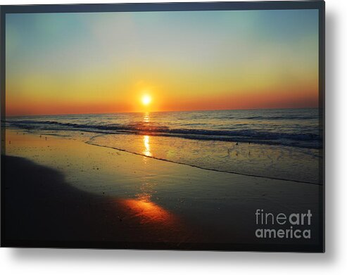 Robyn King Metal Print featuring the photograph All That Shimmers Is Golden by Robyn King