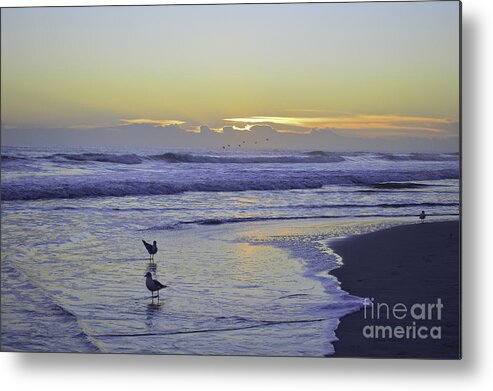 Atlantic Ocean Metal Print featuring the photograph Almost sunrise by Julianne Felton