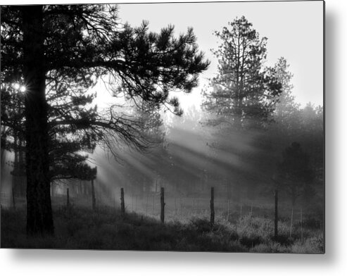 Almost To Fairyland Metal Print featuring the photograph Almost to Fairyland - God Rays by Nikolyn McDonald