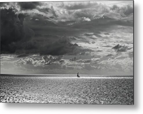 Black And White Photography Metal Print featuring the photograph Alone But Not Lonely Black and White by Allan Van Gasbeck
