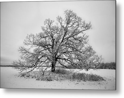 B&w Metal Print featuring the photograph Alone by David Letts