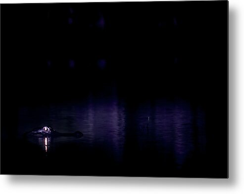 Alligator Metal Print featuring the photograph Alone in the Dark by Mark Andrew Thomas
