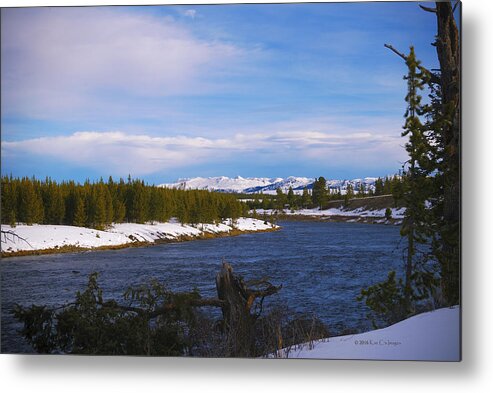 Madison River Metal Print featuring the photograph Along the Madison River by Kae Cheatham