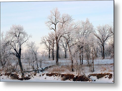 Frost Metal Print featuring the painting Along the River by Steve Augustin