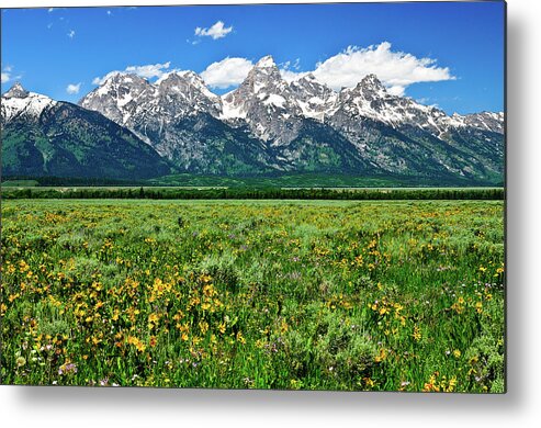 Grand Teton National Park Metal Print featuring the photograph Alpine Spring by Greg Norrell