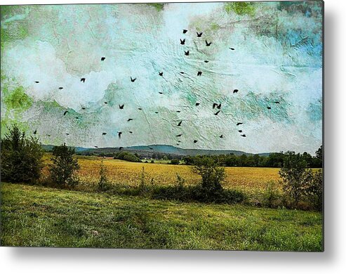 Landscapes Metal Print featuring the photograph Amber Waves Of Grain by Jan Amiss Photography