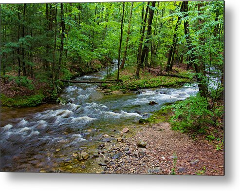Nature Metal Print featuring the photograph Amethyst Brook in Amherst MA by Richard Goldman