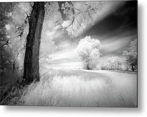 Summer Days In Sunny Alberta. Photographed In Infrared. Metal Print featuring the photograph An Afternoon With My Daughter by Dan Jurak