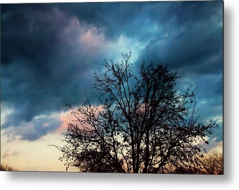 Landscape Metal Print featuring the photograph And in the Evening by Toni Hopper